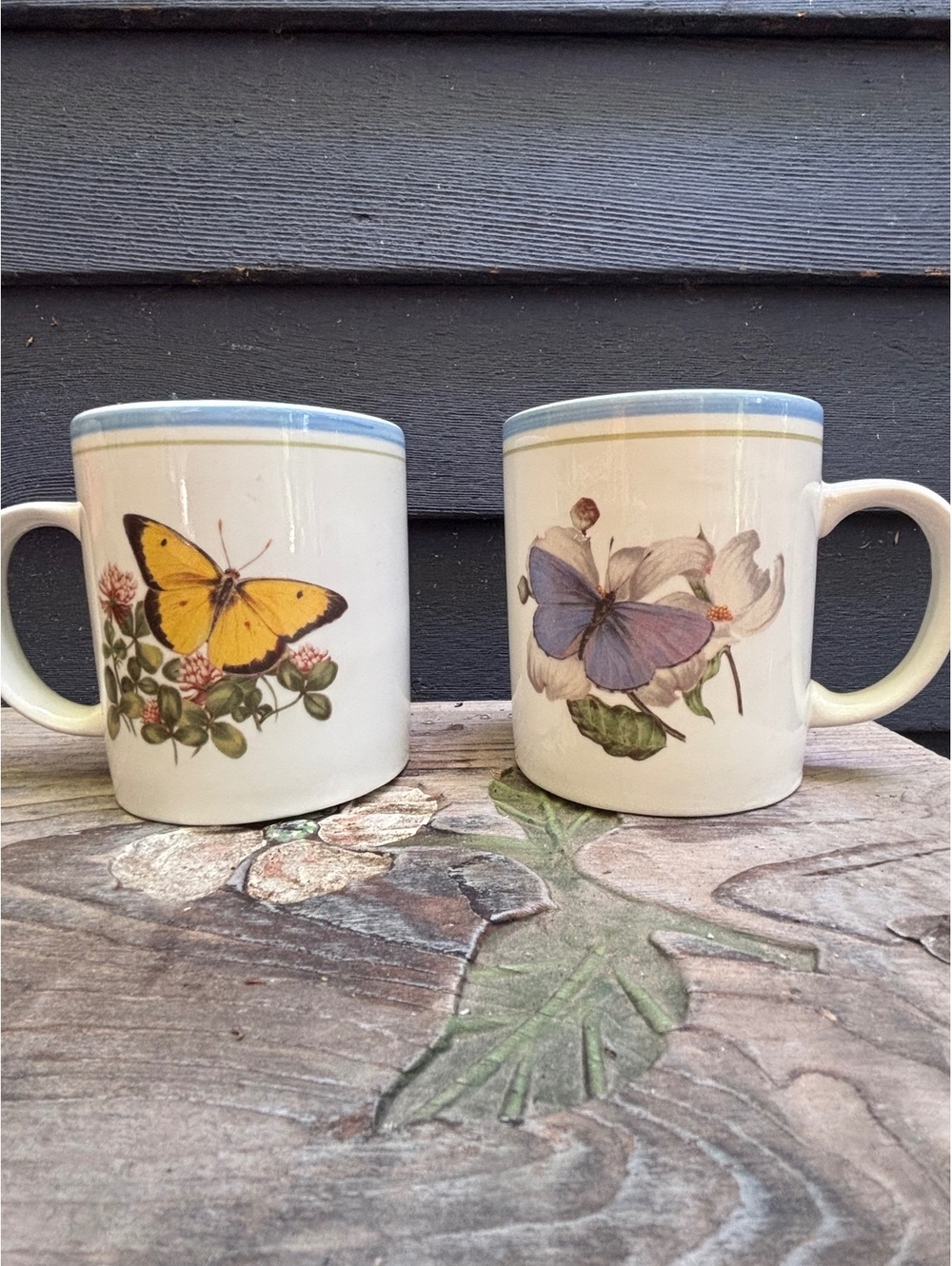 National Wildlife Federation Butterfly Ceramic Coffee Mugs Set of 2